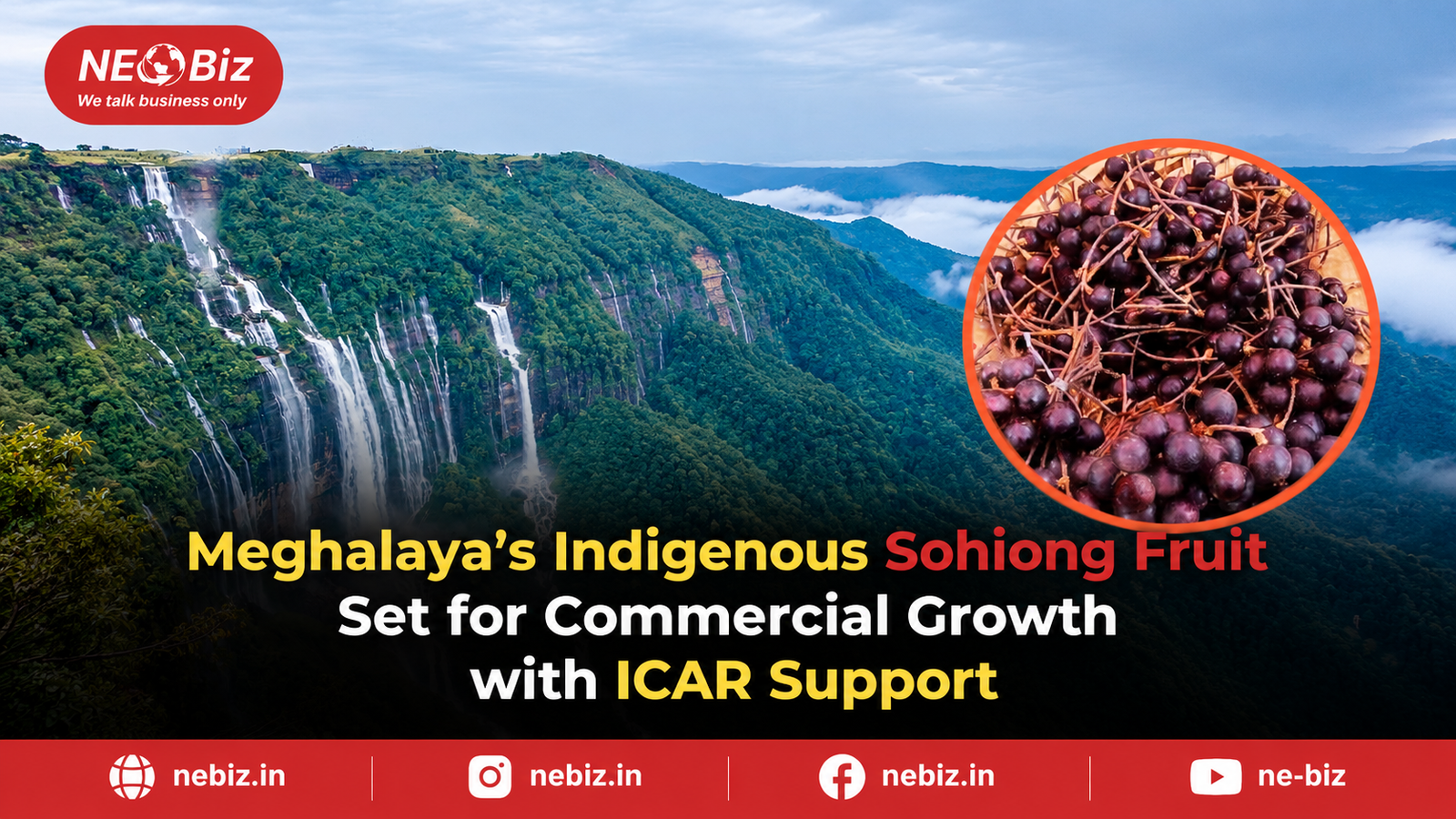 Meghalaya’s Indigenous Sohiong  Fruit Set for Commercial Growth  with ICAR Support